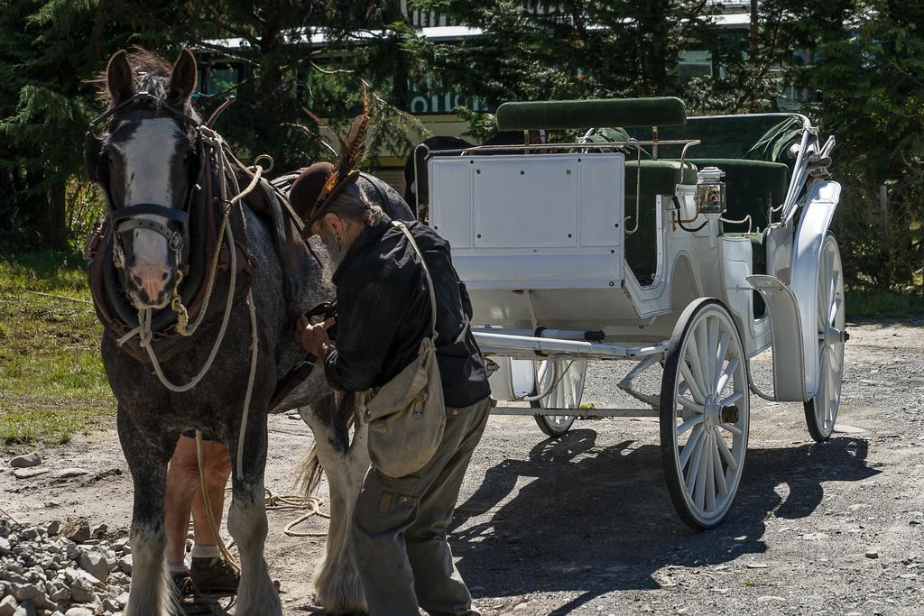 Otira Stagecoach Hotel Екстериор снимка